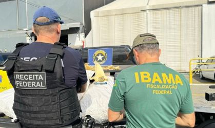 Carga de barbatanas de tubarão avaliada em R$ 1,5 milhão é apreendida no Ceará