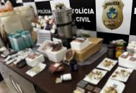 "Cogumelos mágicos": laboratório de alucinógenos é encontrado em escritório de advocacia