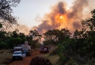 Mais de 100 agentes e 6 aeronaves combatem grande incêndio em SP; veja imagens