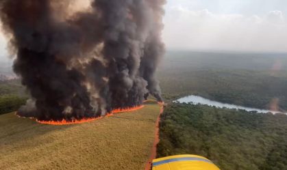 Defesa Civil emite novo alerta para risco de queimadas em SP