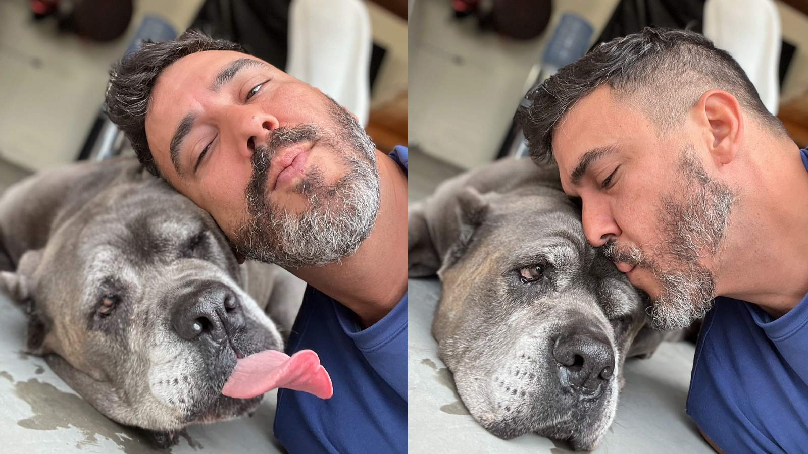 Gorda, a cachorrinha de André Marques, morreu dia 29 de julho, com 13 anos