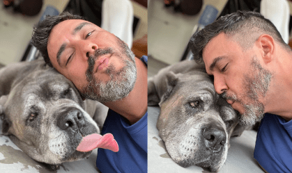 André Marques diz chorar todos os dias por cachorro que morreu: "Tem que viver"