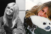 Brigitte Bardot completa 90 anos longe do cinema e lutando pelos animais