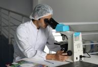 Novo estudo descobre como células cancerígenas escapam do sistema imune