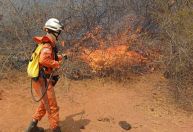 Em 2024, Brasil teve seca mais intensa em 70 anos, aponta pesquisa