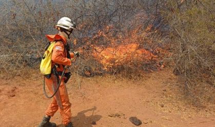 Em 2024, Brasil teve seca mais intensa em 70 anos, aponta pesquisa