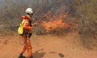 Em 2024, Brasil teve seca mais intensa em 70 anos, aponta pesquisa