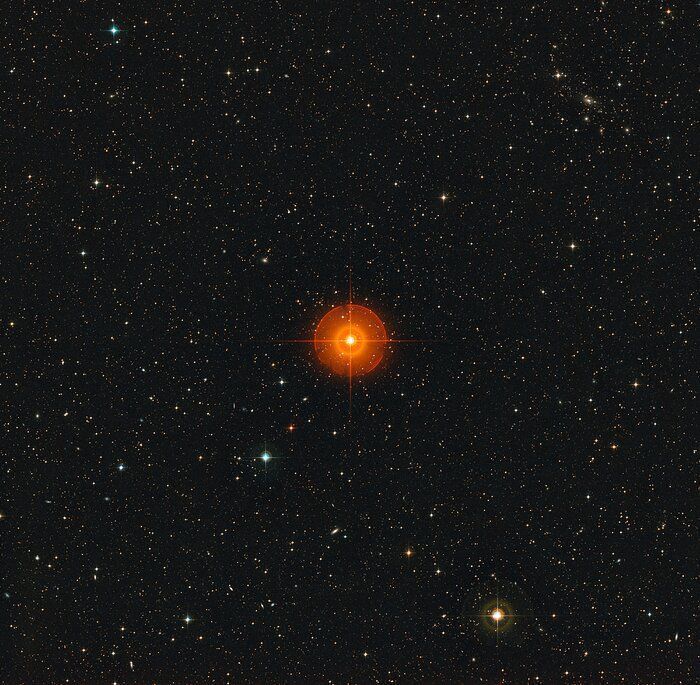 Imagem de grande angular, criada a partir de dados do Digitized Sky Survey 2, mostra a região em torno de R Doradus, a estrela laranja brilhante que vemos no centro • ESO/Digitized Sky Survey 2. Acknowledgement: Davide De Martin
