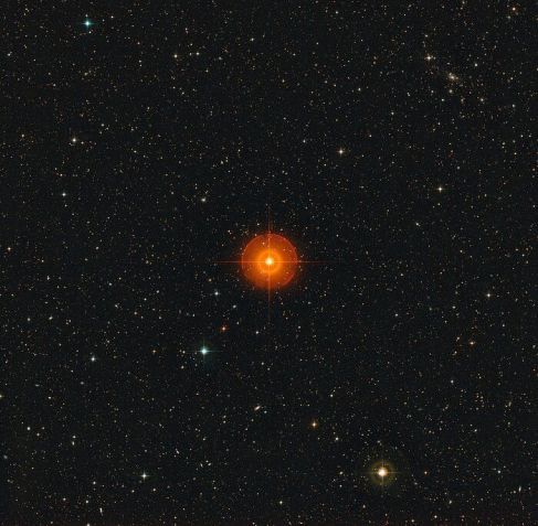 Imagem de grande angular, criada a partir de dados do Digitized Sky Survey 2, mostra a região em torno de R Doradus, a estrela laranja brilhante que vemos no centro • ESO/Digitized Sky Survey 2. Acknowledgement: Davide De Martin
