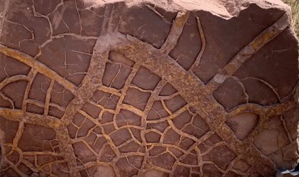 Mudanças climáticas levaram à extinção de 90% da vida na Terra há milhões de anos