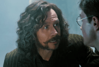 "Harry Potter": Gary Oldman fala sobre possibilidade de aparecer em série da HBO