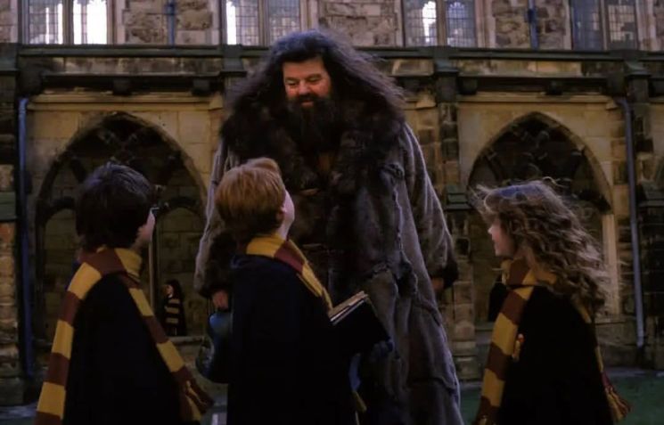 Robbie Coltrane como Hagrid em "Harry Potter" • Instagram/ Robbie Coltrane