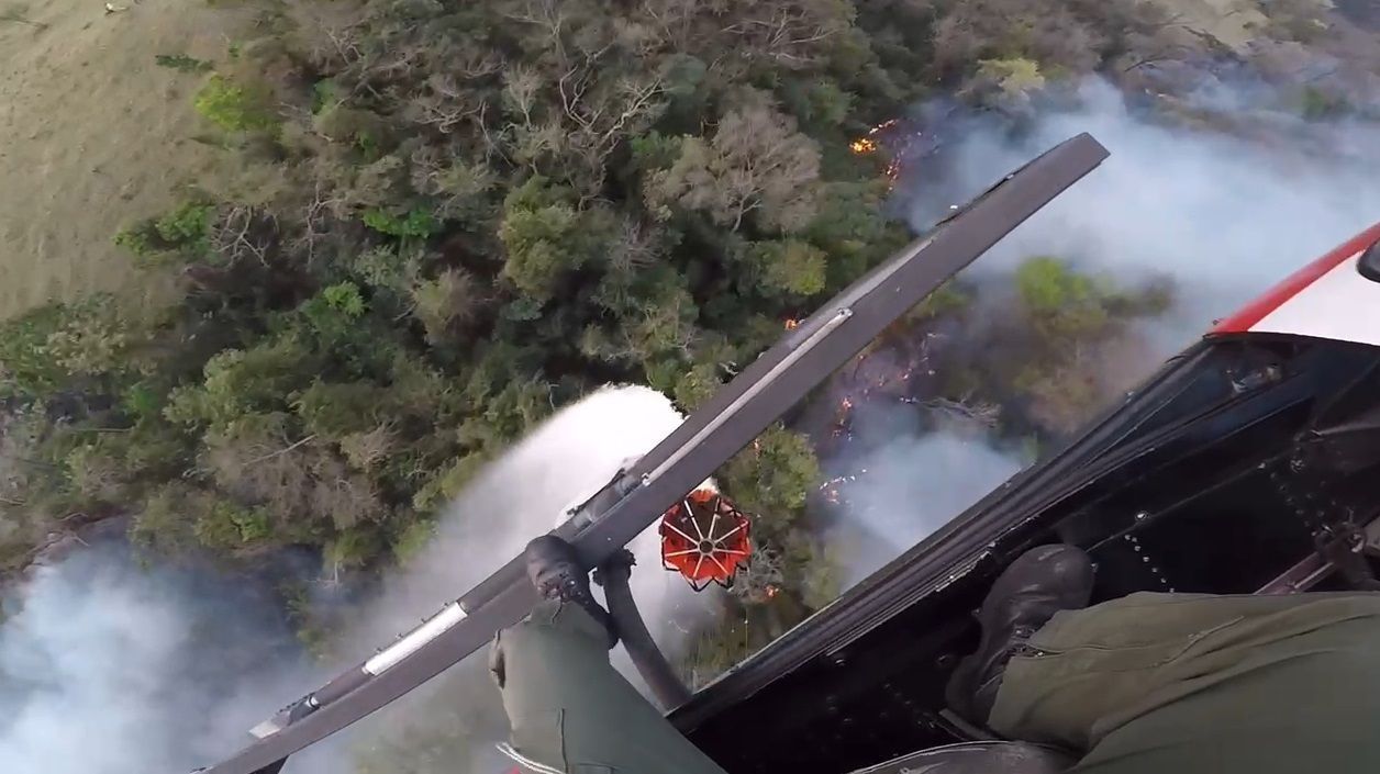 Equipes combatem chamas em região de mata em São Paulo • Defesa Civil