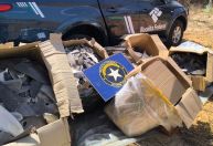 Cerca de 230 kg de barbatanas de tubarão são apreendidas no Ceará