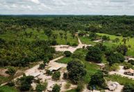 Créditos de carbono ajudam comunidades amazônicas no Pará