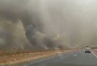 Incêndios florestais: autoridades combatem queimadas e prendem suspeitos em GO