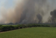 Incêndio causa cortina de fumaça e interdita estrada em SP; veja vídeos