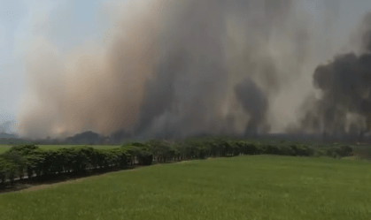 incendio sao carlos