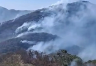 Governo estadual investiga mais de 20 pessoas por incêndios florestais no Rio