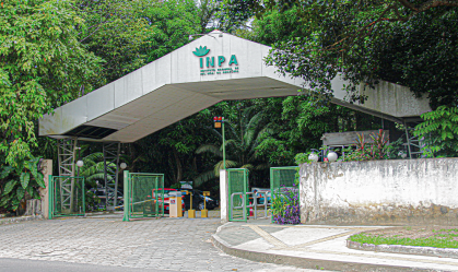 PF vai investigar incêndio em área do Inpa em Manaus