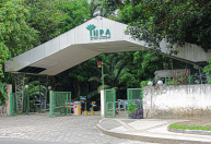 PF vai investigar incêndio em área do Inpa em Manaus