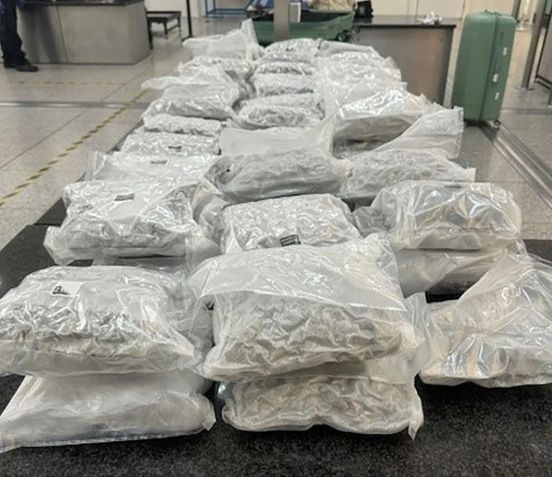 Pacotes de maconha apreendidos em operação que envolve o jogador Jay Emmanuel-Thomas • Divulgação/NCA