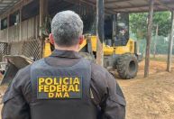Operação que combate crimes ambientais no AM não tem data para terminar