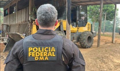 Operação que combate crimes ambientais no AM não tem data para terminar
