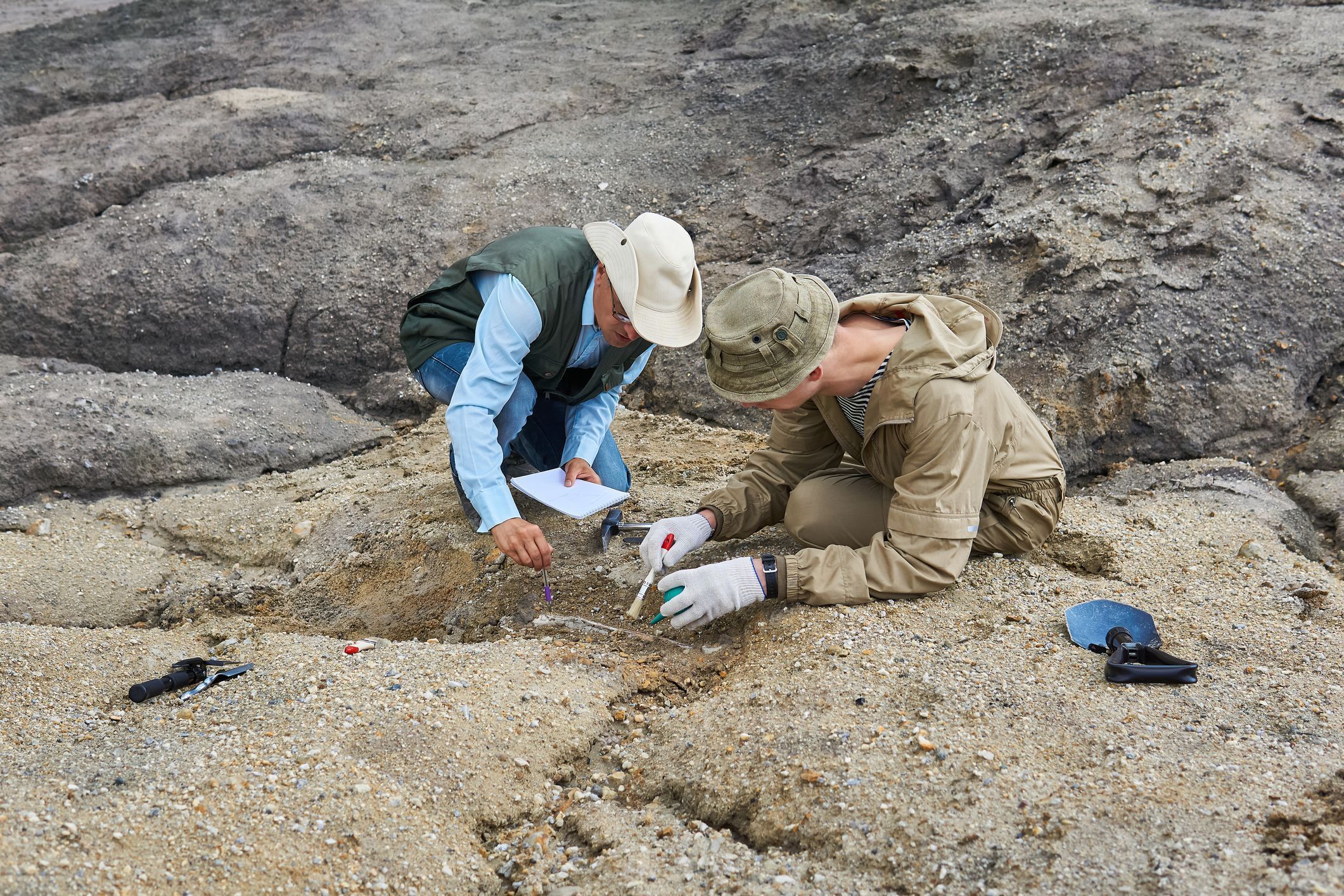 paleontologists have discovered a fossil in the desert