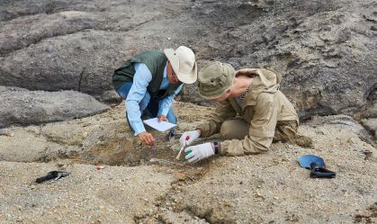 Fósseis brasileiros revelam descoberta inesperada sobre evolução dos mamíferos