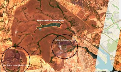 Imagens de satélite mostram estragos do incêndio no Parque Nacional de Brasília