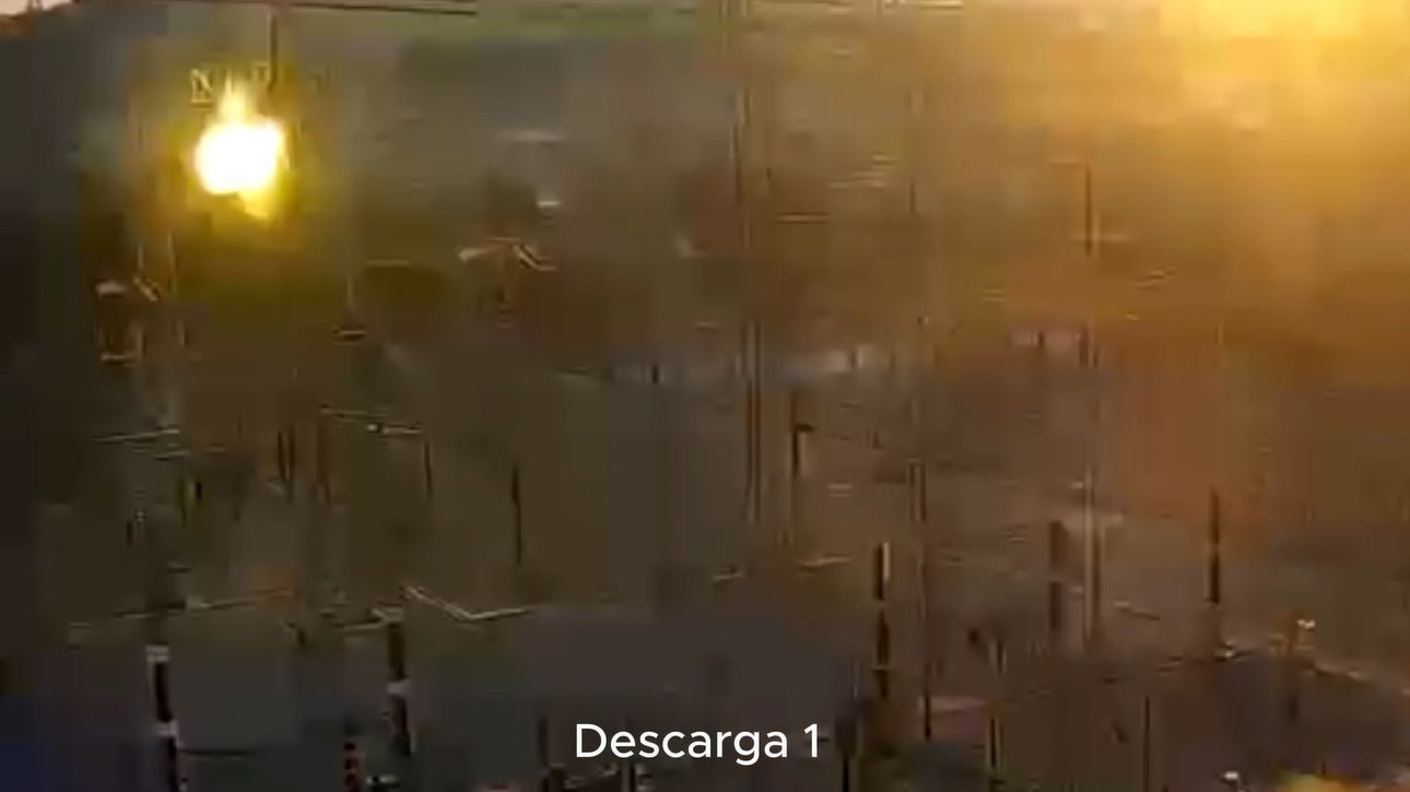 pipadescarga