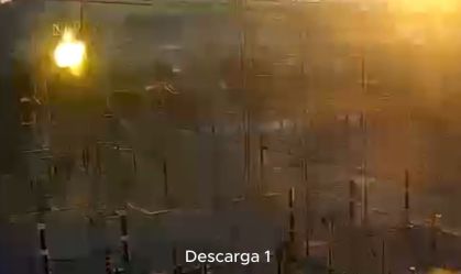 pipadescarga