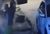 Dono de pitbull é indiciado por homicídio após idoso morrer em ataque