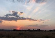 Como fica o tempo durante a primavera, que começa neste domingo?