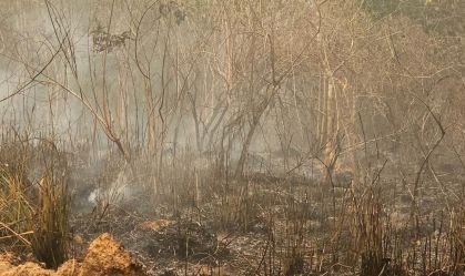 Homem é preso após provocar incêndio em mata no Pará