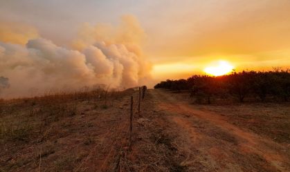 Brasil registra quase 1.800 focos de incêndio nas últimas 24 horas