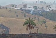 Mesmo com chuva, São Paulo ainda conta com focos de incêndios ativos