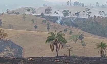 SP registra aumento de 729% nos focos de incêndio em setembro