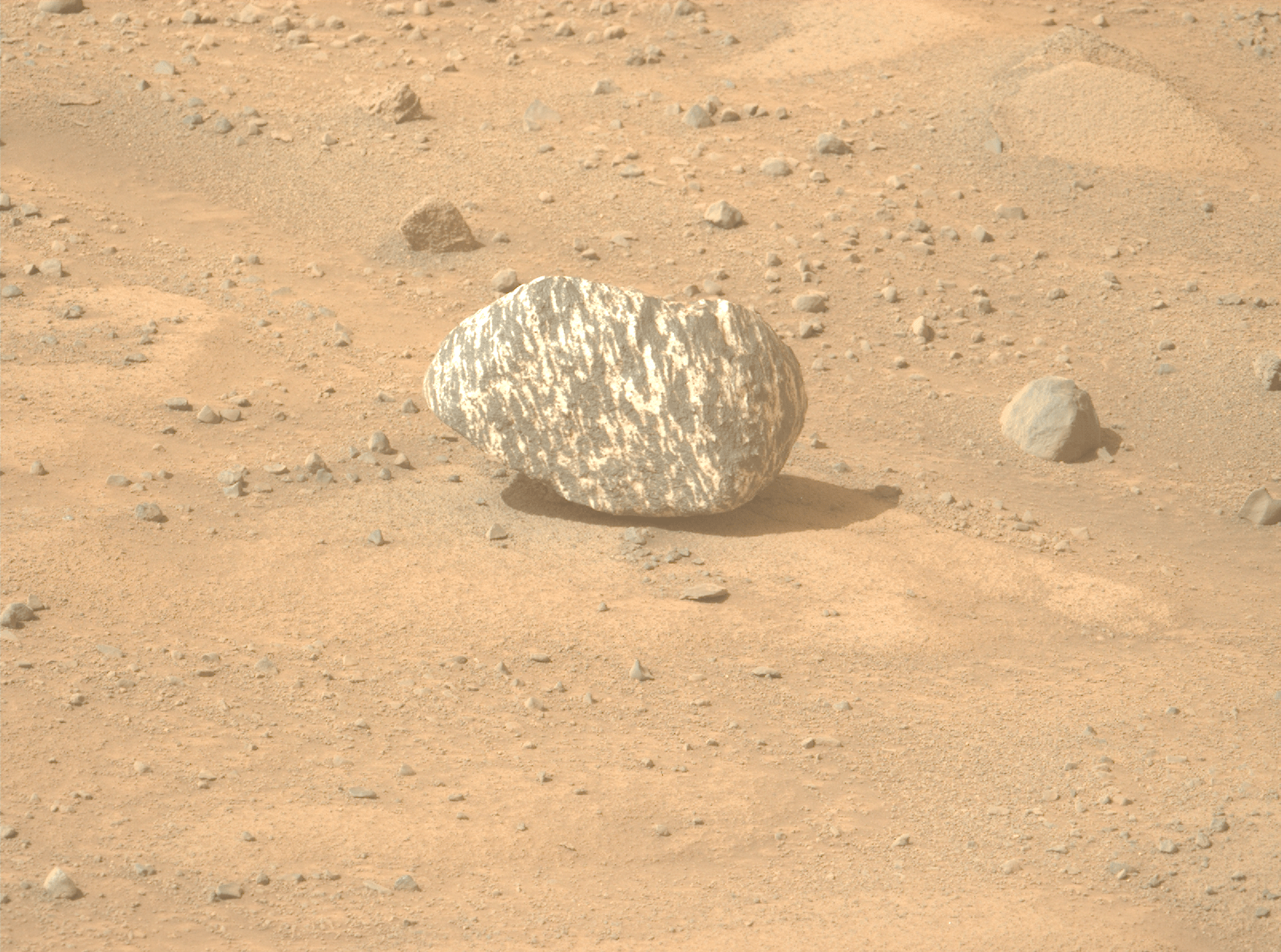 Nasa encontra rocha apelidada de "zebra" por conta de textura listrada • NASA/JPL-Caltech/ASU