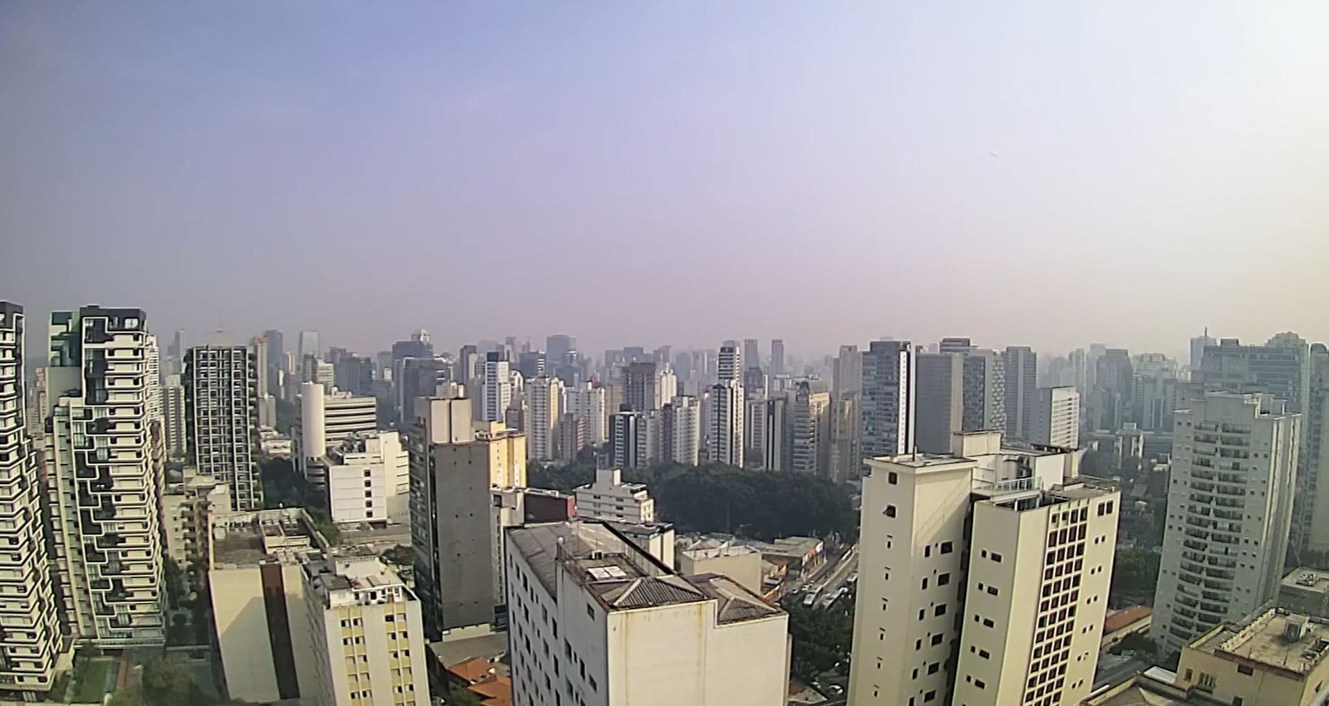 sp agora