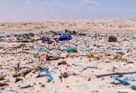 Praia em Florianópolis (SC) é a mais poluída do Brasil, aponta estudo