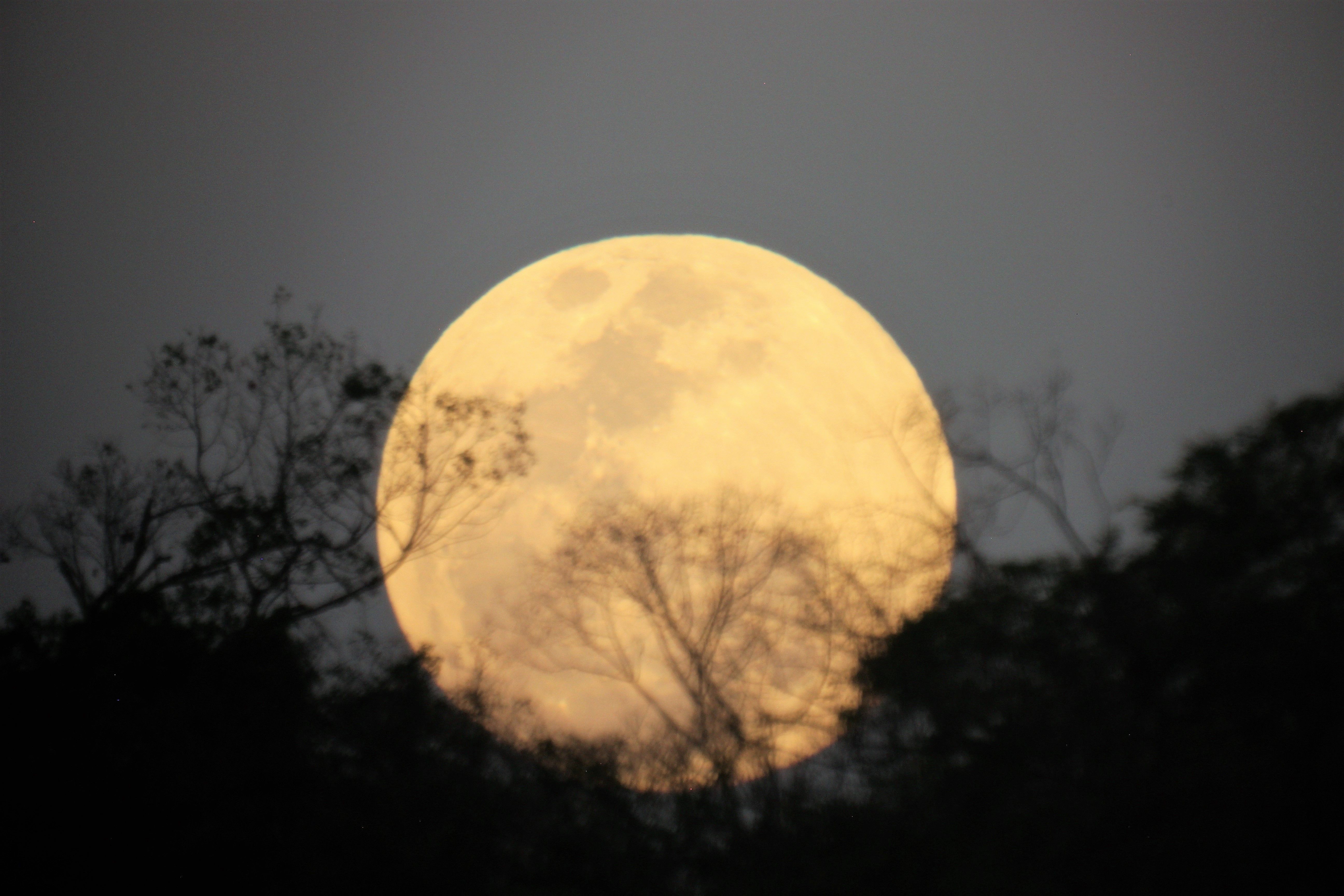 superlua5