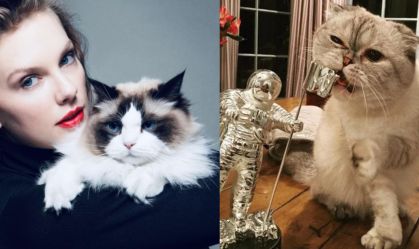 Taylor Swift tem gata avaliada em R$ 506 milhões