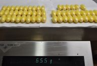Rota da cocaína: número de presos com destino à Europa cresce 34%, aponta PF