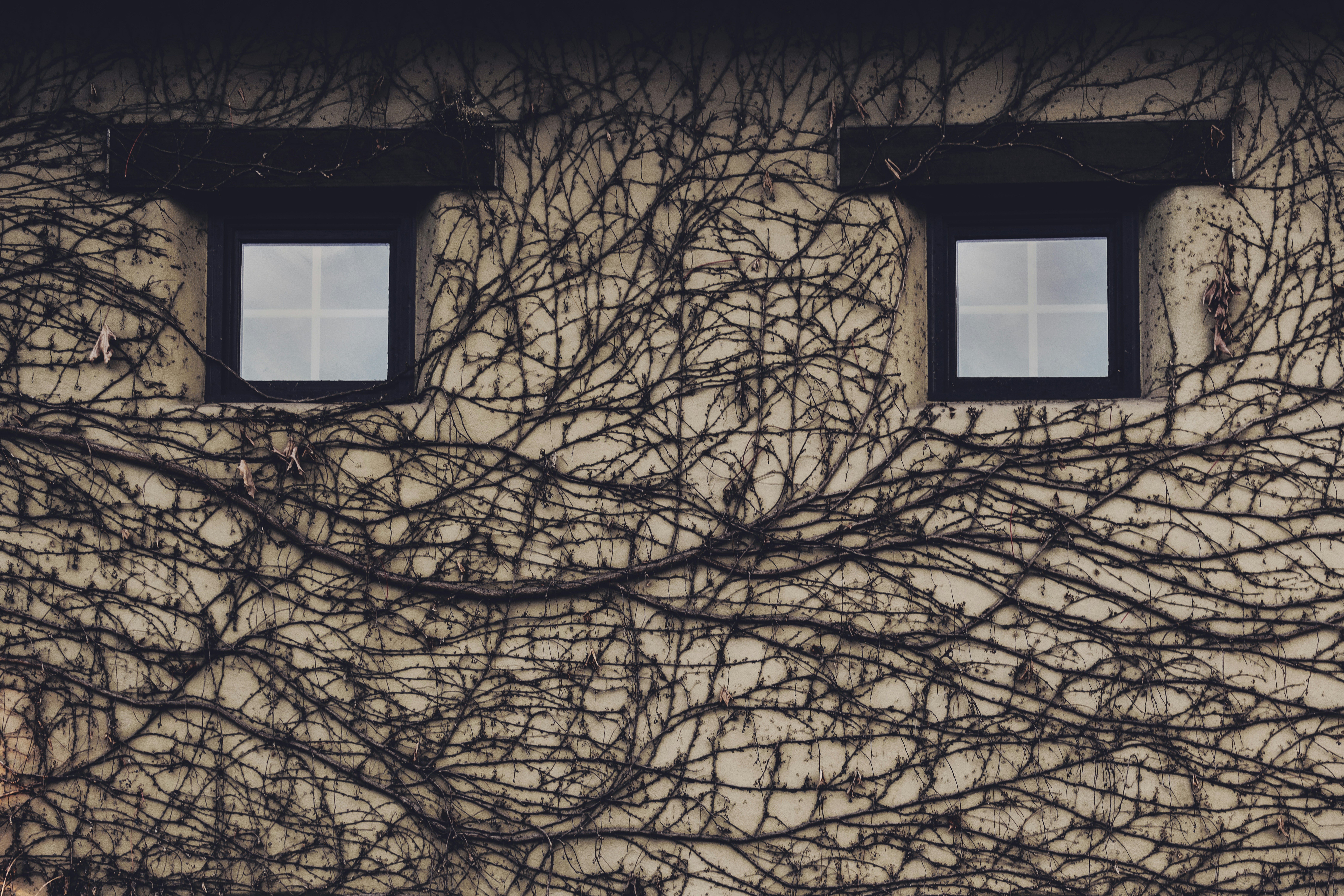 tim-mossholder-l4VCf72WlyY-unsplash