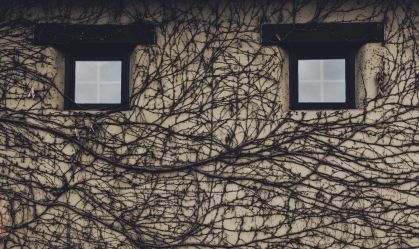 Você vê rostos em nuvens ou em objetos? Entenda o fenômeno