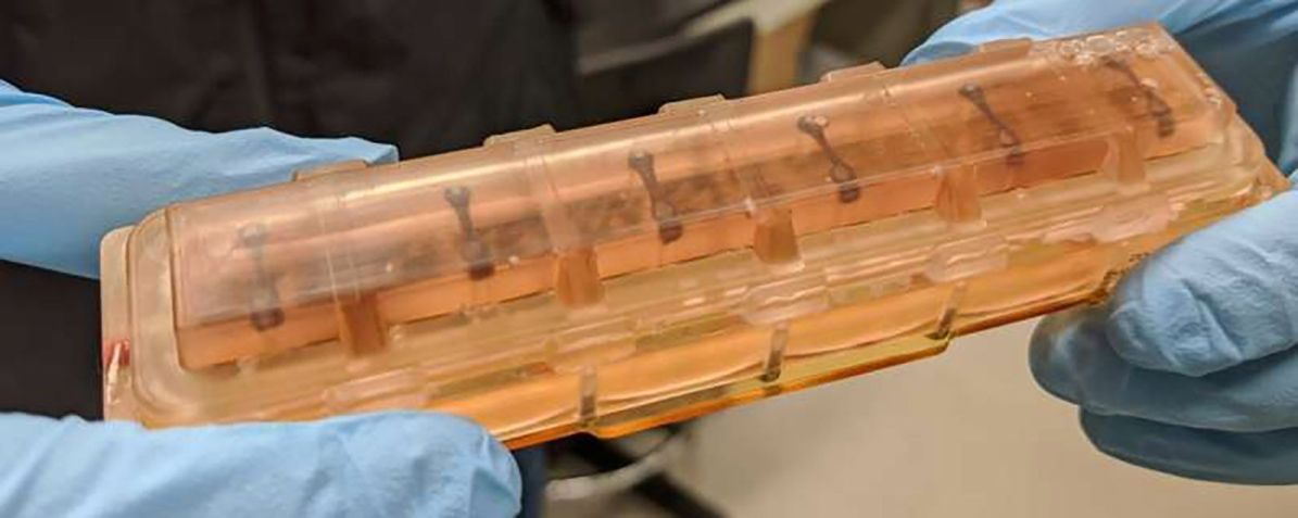 Tecidos cardíacos dentro de uma das câmaras prontas para o lançamento ao espaço • Jonathan Tsui