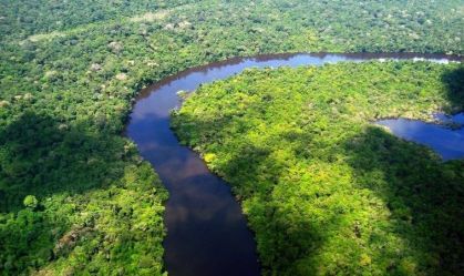 Pará registra redução de 36% em área com alerta de desmatamento em março