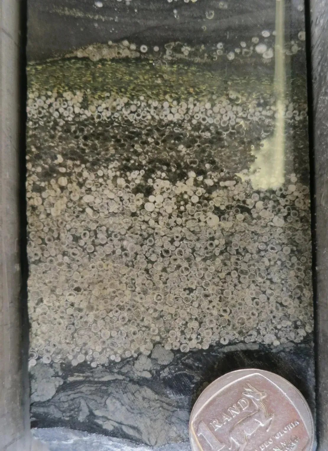 Esférulas podem ser vistas nesta amostra retirada do impacto de outro meteorito • Drabon/Universidade de Harvard